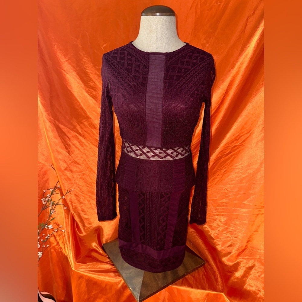 Beautiful maroon mesh dress